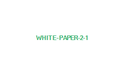 White Paper 2